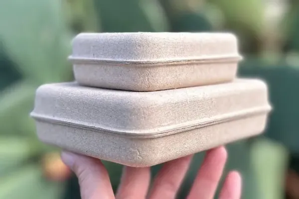 Pulp-Based Packaging