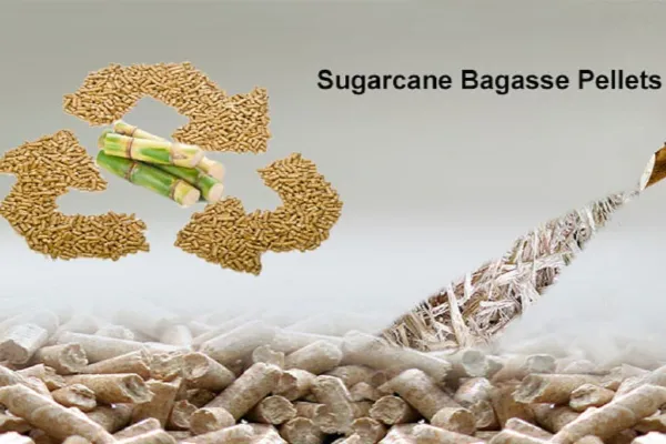 Sugarcane Bagasse