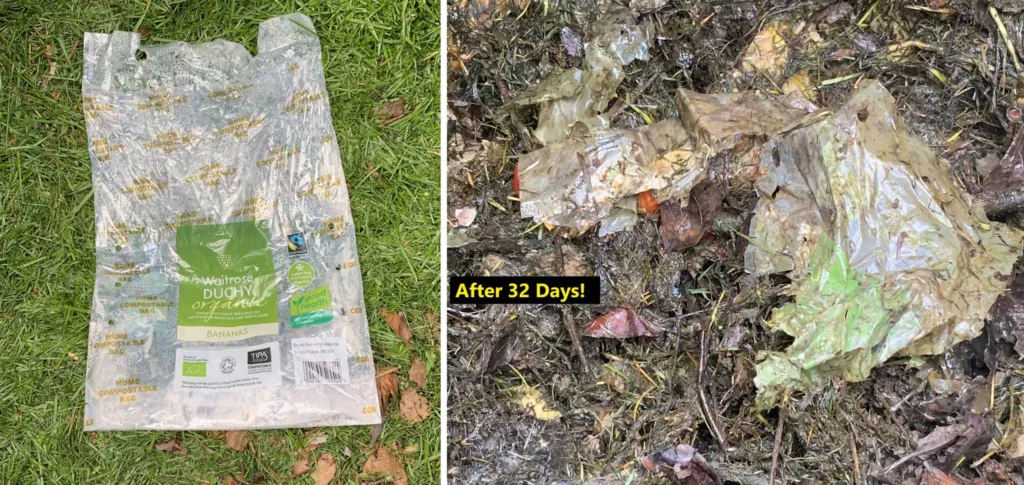 Backyard vs Landfill Simulation