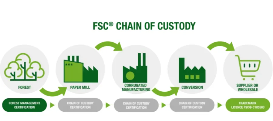 How the FSC Chain of Custody Actually Works