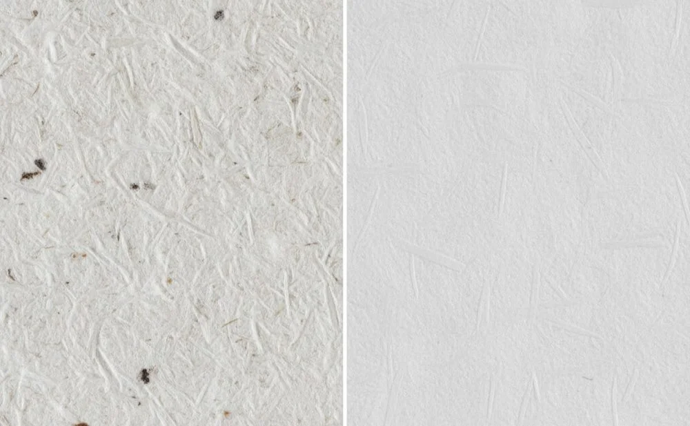 Virgin vs. Recycled Pulp Pros and Cons
