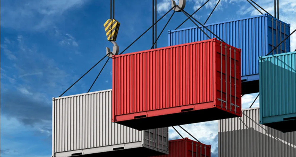 customs rejection
