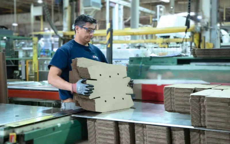 Cardboard Recycling Lifecycle