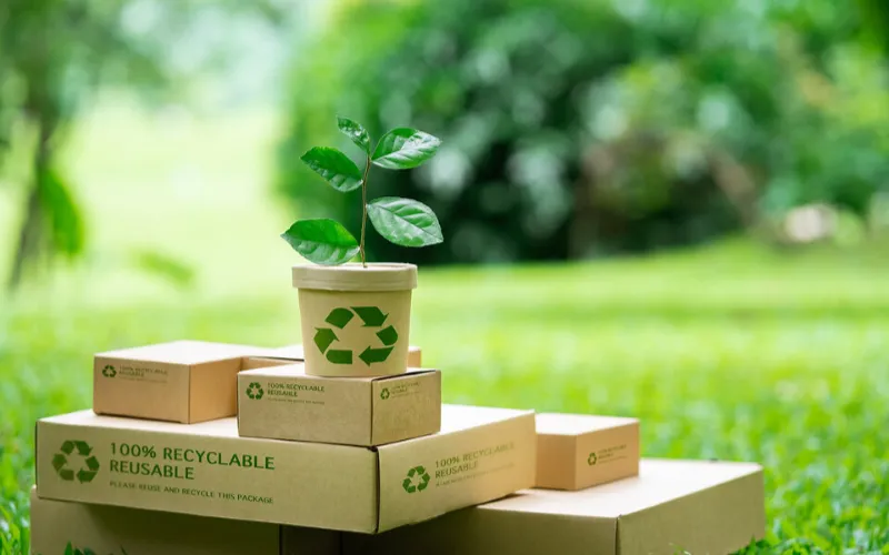 Circular Economy in Packaging and Minimalist Package Design