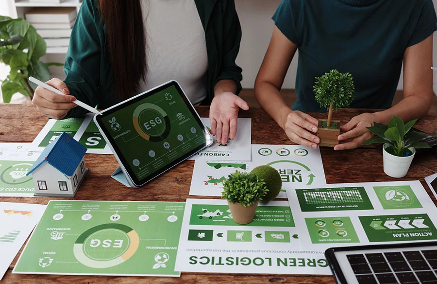 Sustainability, Branding, and End-of-Life Outcomes