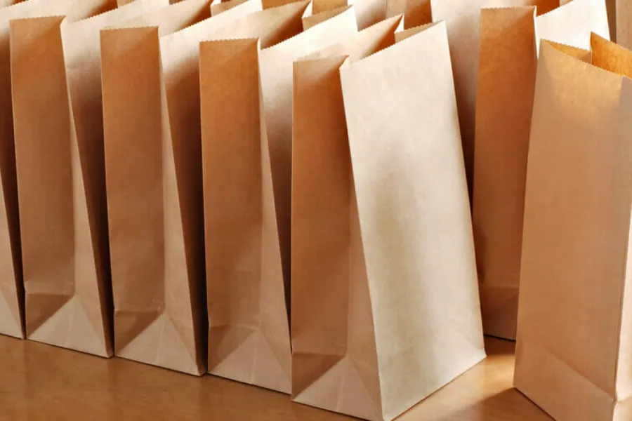 Kraft Paper for Bags