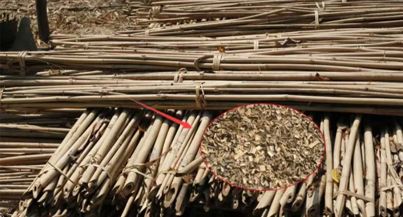 Raw Material Biology and Fiber Geometry
