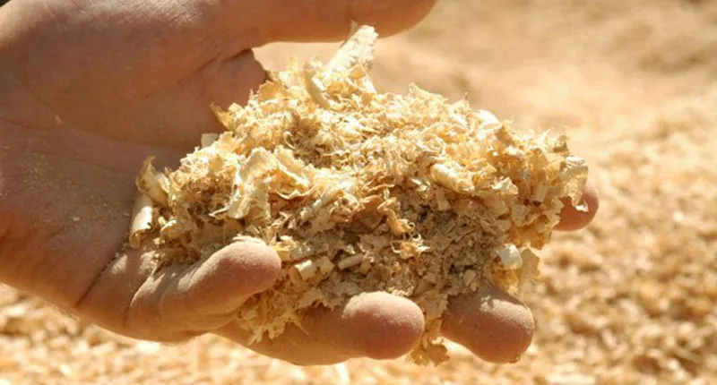 Wood Pulp
