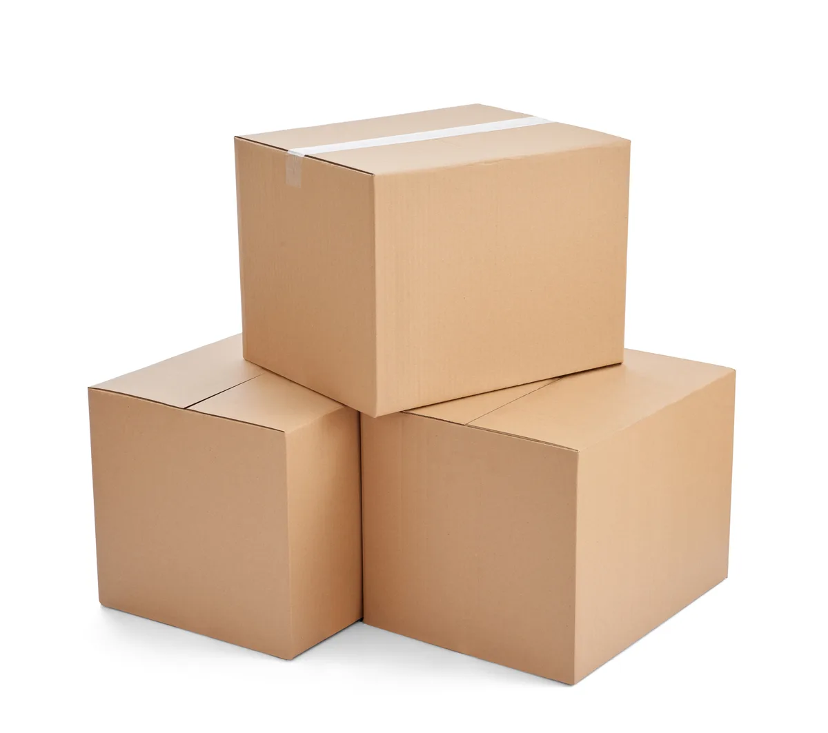 Cardboard