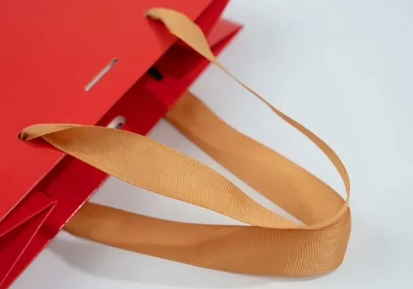 A ribbed grosgrain ribbon handle fitted through the top edge of a printed bag