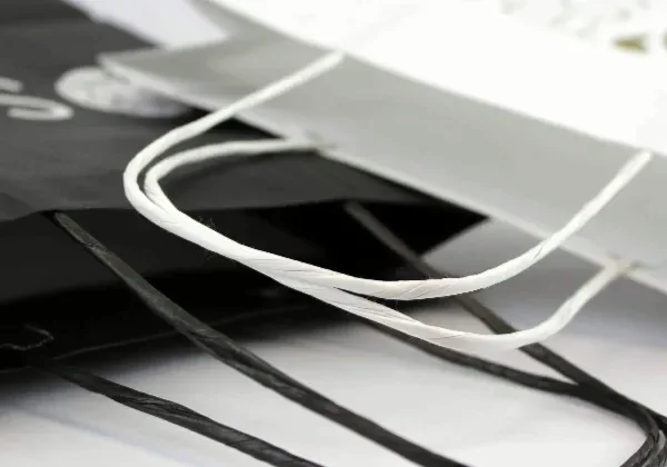 Twisted paper cord handles in a kraft tone on a plain brown bag