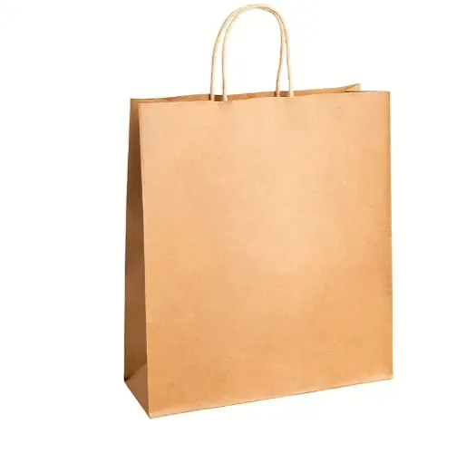 A plain brown kraft paper shopping bag with twisted paper handles